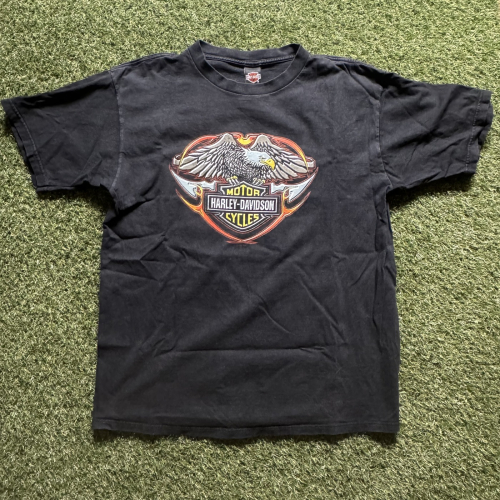 Harley Davidson Powertrain / 1998 XL